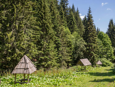 Piknik izlet u prirodi